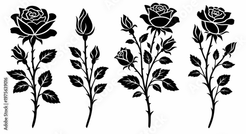 Set of black rose silhouettes with blooming flowers and buds in different stem shapes. Elegant botanical clipart collection isolated on transparent background.