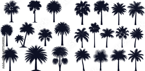 Diverse collection of tropical palm tree silhouettes showcasing different frond types and trunk shapes