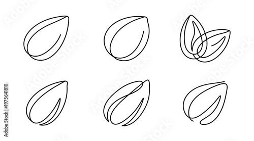 almond , six black Continuous Line Art (Single Line) vector set collection , white background , PNG and SVG
