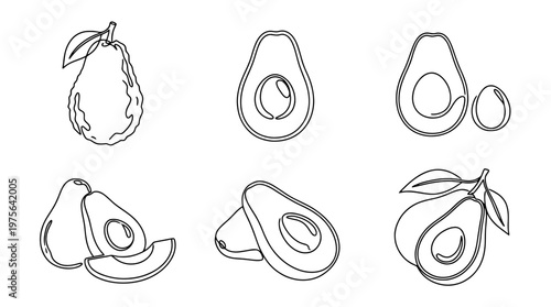 avocado , six black Continuous Line Art (Single Line) vector set collection , white background , PNG and SVG