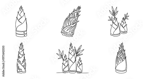 bamboo shoot , six black Continuous Line Art (Single Line) vector set collection , white background , PNG and SVG