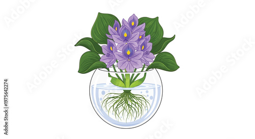 Purple water hyacinth blooms displayed in a clear glass bowl