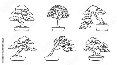 bonsai tree , six black Continuous Line Art (Single Line) vector set collection , white background , PNG and SVG