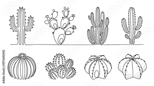 cactus , six black Continuous Line Art (Single Line) vector set collection , white background , PNG and SVG