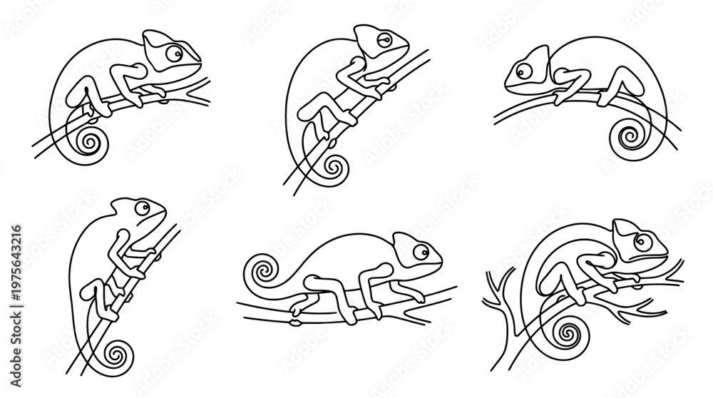 Fototapeta premium chameleon , six black Continuous Line Art (Single Line) vector set collection , white background , PNG and SVG