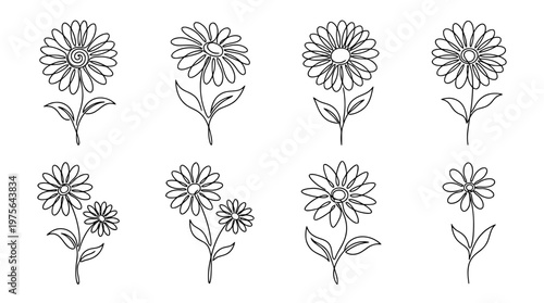 daisy , six black Continuous Line Art (Single Line) vector set collection , white background , PNG and SVG