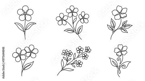 forgetmenot , six black Continuous Line Art (Single Line) vector set collection , white background , PNG and SVG