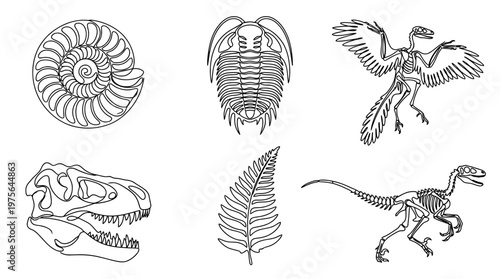 fossil , six black Continuous Line Art (Single Line) vector set collection , white background , PNG and SVG
