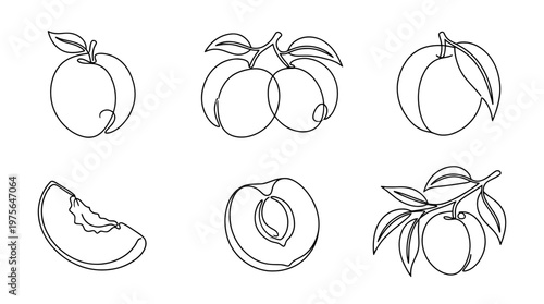 nectarine , six black Continuous Line Art (Single Line) vector set collection , white background , PNG and SVG