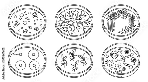 petri dish , six black Continuous Line Art (Single Line) vector set collection , white background , PNG and SVG