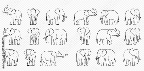 Set of hand-drawn elephant illustrations in various poses, showcasing different angles and actions of the majestic animal.