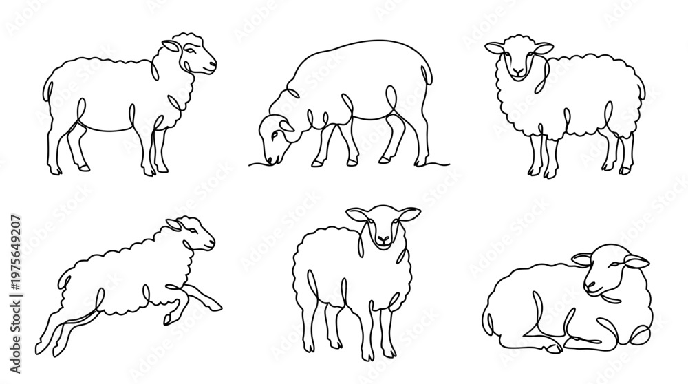 Fototapeta premium sheep , six black Continuous Line Art (Single Line) vector set collection , white background , PNG and SVG