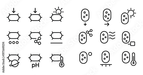 Bacterial cell icons indicating states and interactions grid