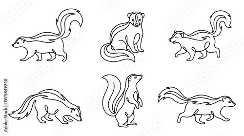 skunk , six black Continuous Line Art (Single Line) vector set collection , white background , PNG and SVG