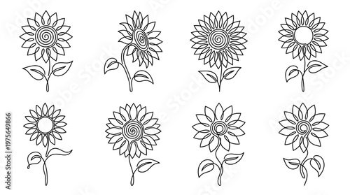 sunflower , six black Continuous Line Art (Single Line) vector set collection , white background , PNG and SVG