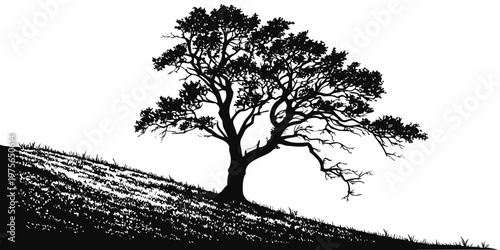 A solitary tree stands tall against a minimalistic backdrop