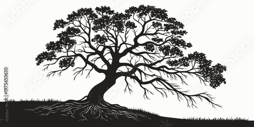 An inkblot test shape suggesting abstract interpretations of ink patterns