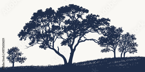 A tree with a thick trunk and a broad canopy of leaves