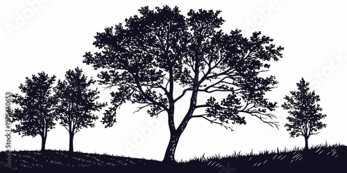 A solitary tree with a broad and rounded crown