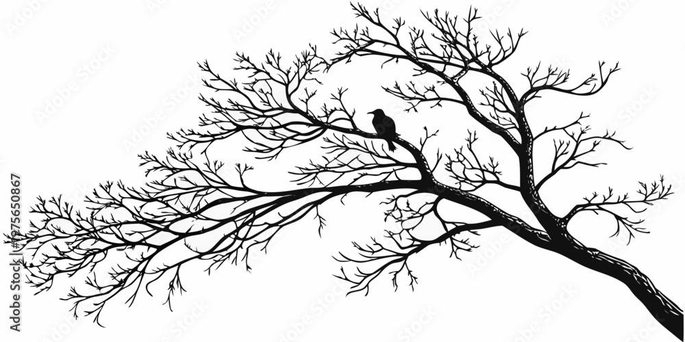 Obraz premium Elegant black and white illustration of a tree with intricate branches