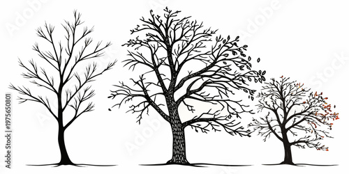 Two bare trees standing in a field under an overcast sky