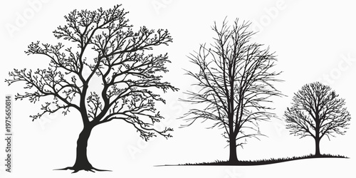 A solitary tree stands tall with a full, rounded canopy