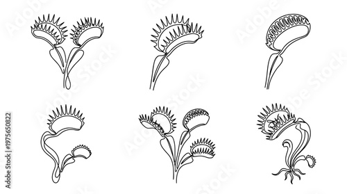 venus flytrap , six black Continuous Line Art (Single Line) vector set collection , white background , PNG and SVG