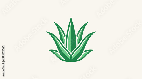 Green Aloe Vera Plant Logo