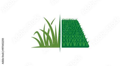 Artificial Grass vs Natural Grass Comparison