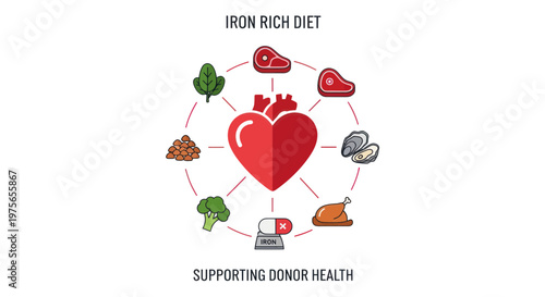 Iron rich diet supporting donor health with heart and food icons