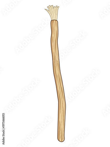 Natural Teeth Cleaning Stick - Miswak Illustration