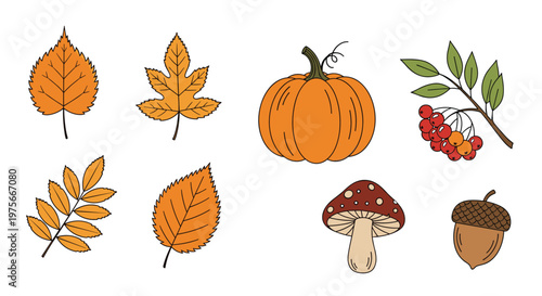 Set of autumn elements including pumpkin, mushroom, acorn, rowan berries, and various colorful fallen leaves.