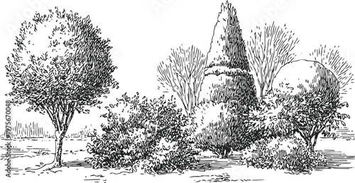 Vintage black and white engraving of various garden trees and bushes with detailed foliage and texture