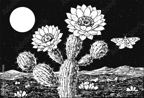 Black and white desert landscape with blooming cactus flowers under full moon night sky