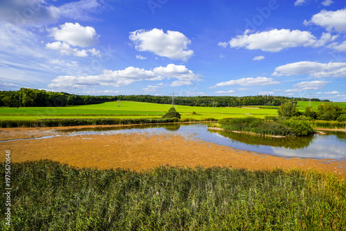 View of Lake Friessnitz and the surrounding landscape. Nature by the lake near Friessnitz in Thuringia.
