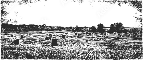 Rural countryside landscape with round hay bales scattered across harvested field under cloudy sky