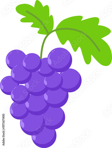 Purple Grapes Flat Illustration