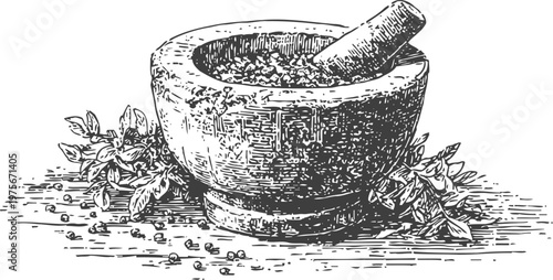Vintage mortar and pestle sketch with herbs and spices for cooking and herbal medicine