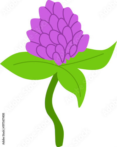 Purple Clover Flower Illustration