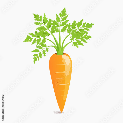 Bright orange carrot with green leaves is isolated on a pure white background for gardening and cooking.