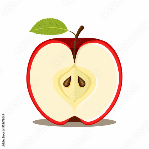 Single red apple cut in half showing seeds is isolated on a solid white background for nutrition.