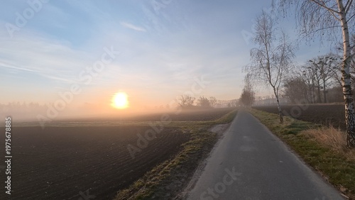 Beautiful sunrise over the countryside with soft morning fog, warm sunlight, and silhouettes of trees on the horizon. The spring atmosphere creates a calm and dreamy landscape filled with gentle light