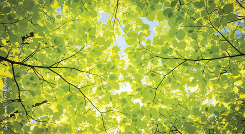 Konstfotografi Bright Green Tree Canopy Leaves Looking Up Vector