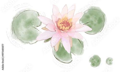 水彩で描いた蓮のイラスト（ポストカード）