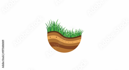 Cross-section of soil layers beneath vibrant green grass blades