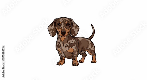 Cute cartoon dachshund with brown and tan dappled coat, standing alertly