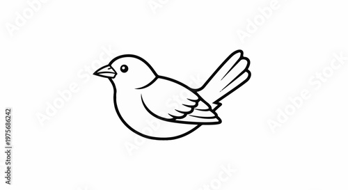 Cute cartoon bird illustration with a simple outline
