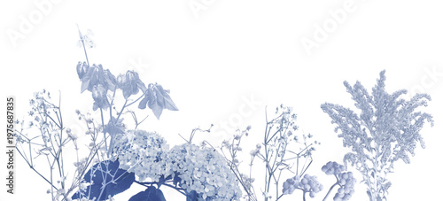 Plants Border Cyanotype