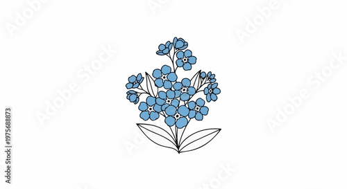 Delicate bunch of blue forget-me-nots with green leaves, isolated