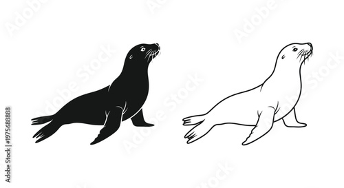 Sea Lion vs Seal Marine Mammal Comparison Guide Vector